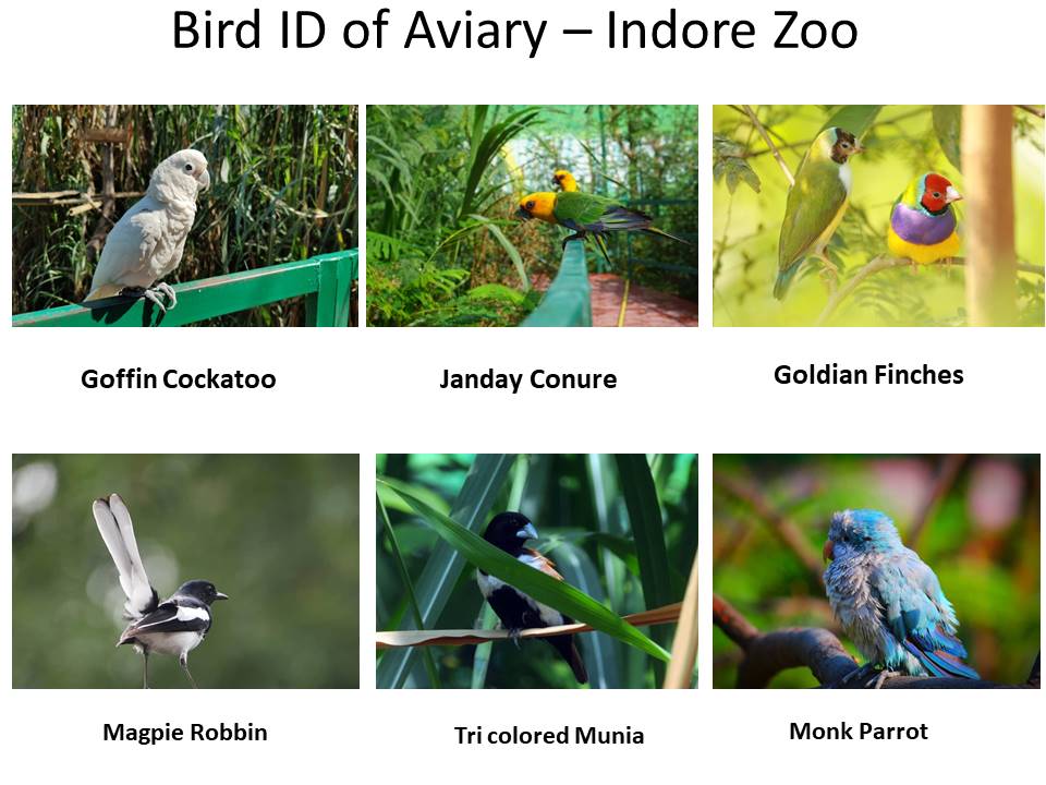 Slide2 - Indore Zoo