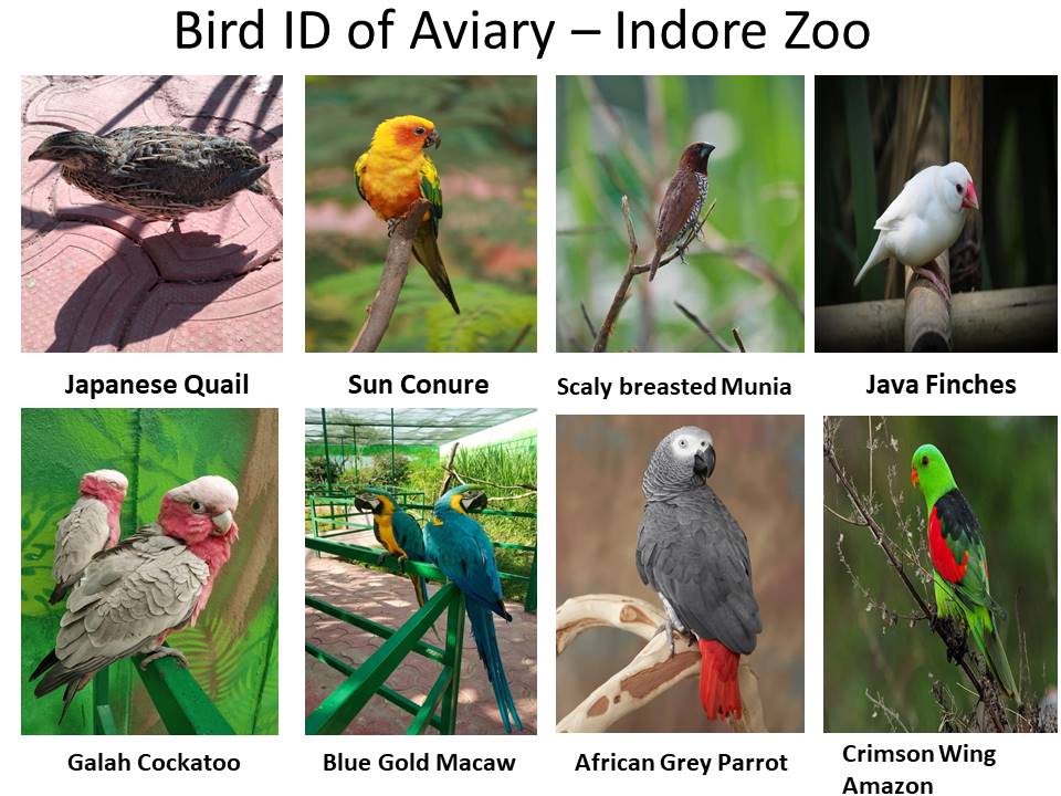 Slide3 - Indore Zoo