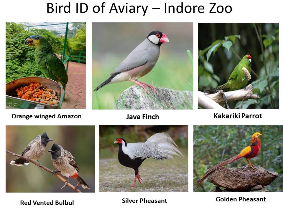 Slide5 - Indore Zoo